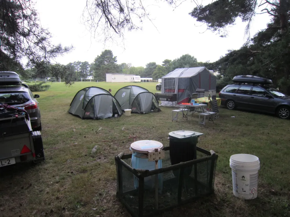 Camping Les Grands Pins  