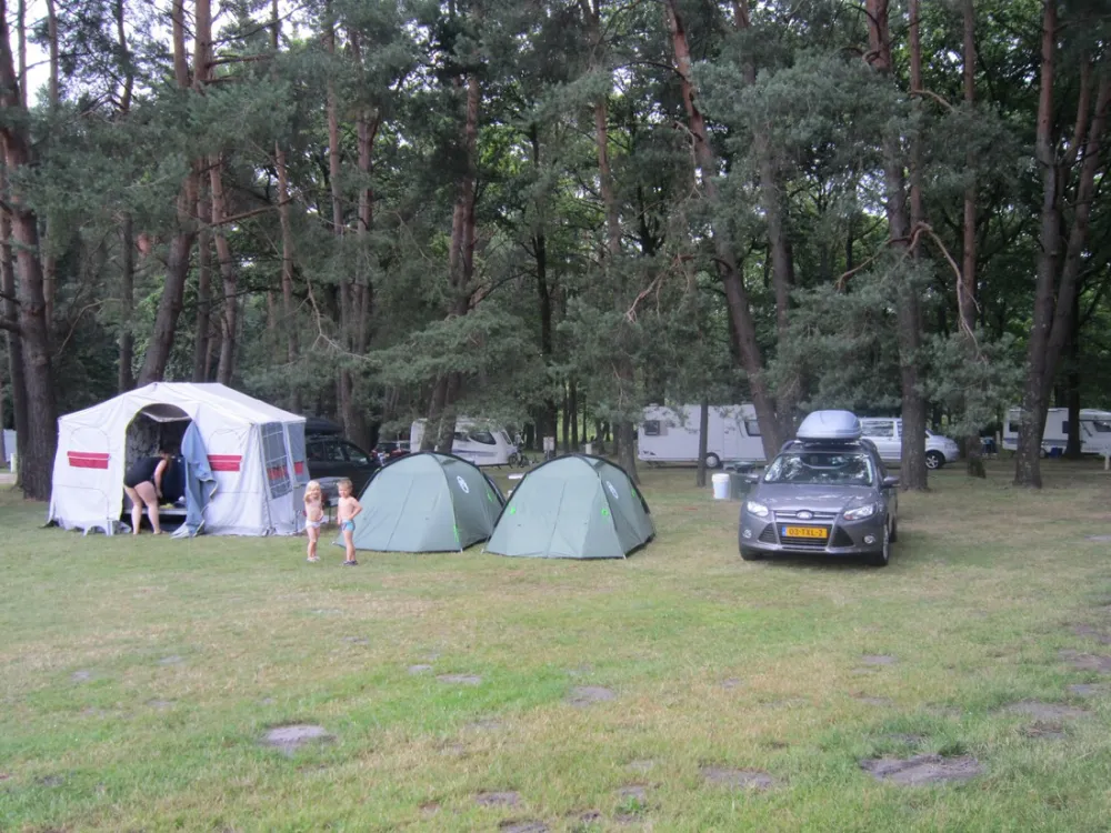 Camping Les Grands Pins  