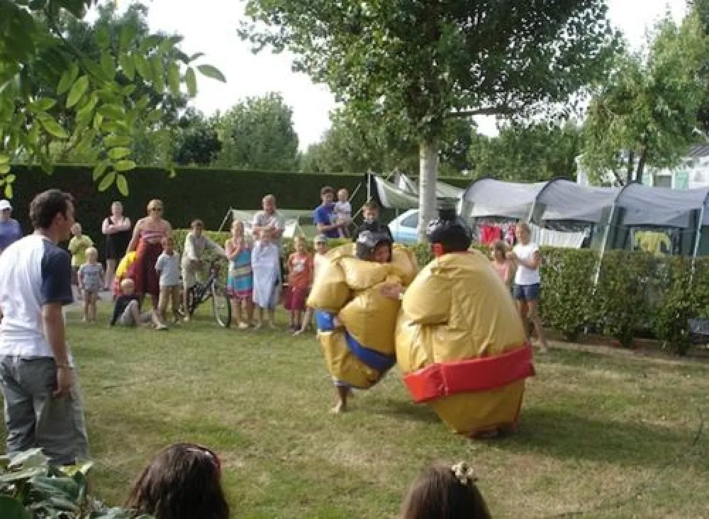 Flower Camping Plein Sud