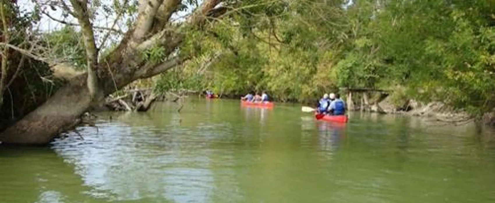 Flower Camping Plein Sud