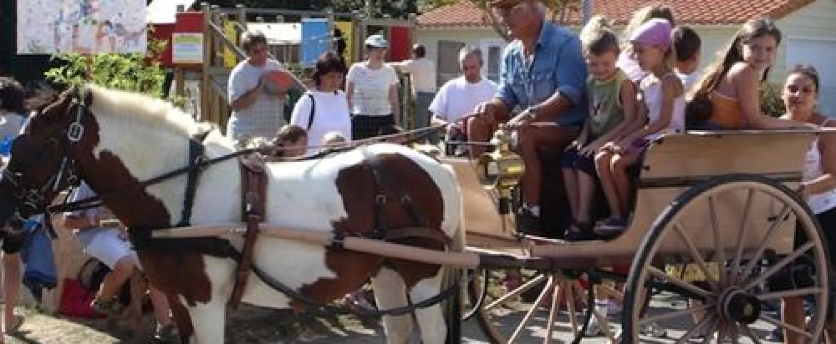 Flower Camping Plein Sud