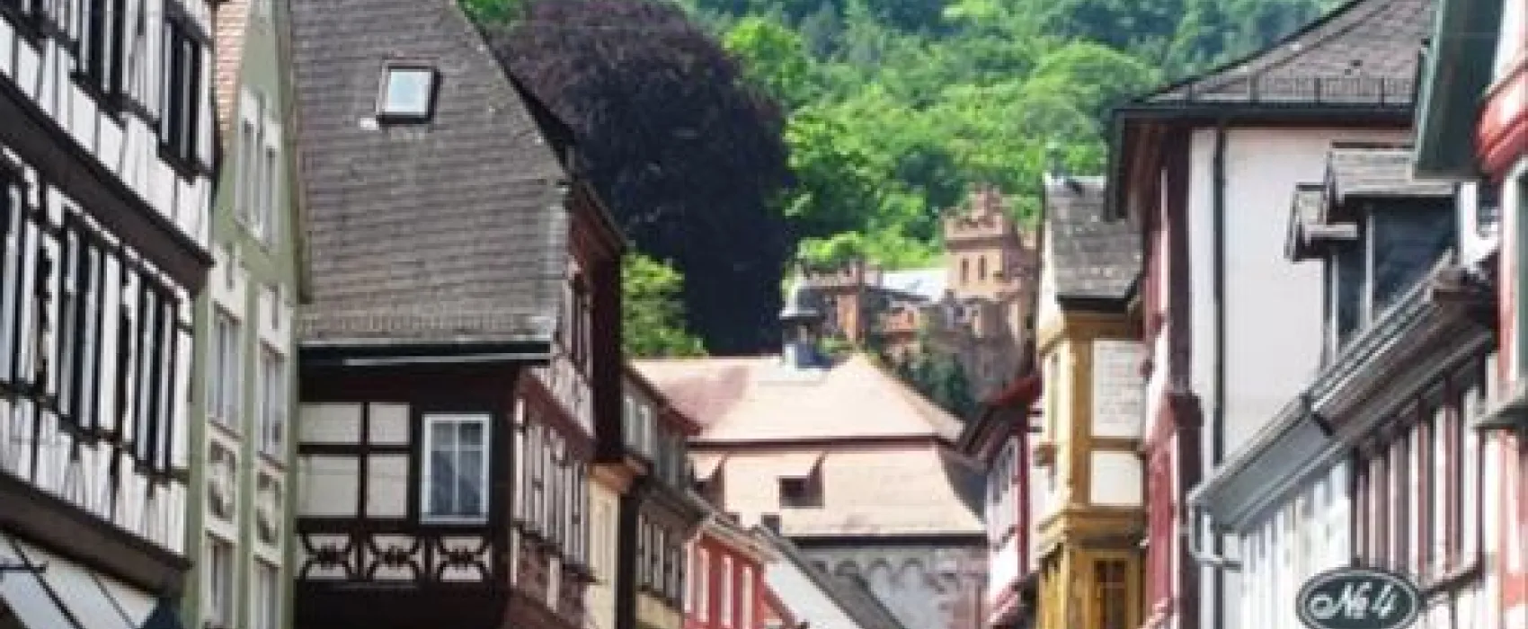 Campingplatz Mainwiese