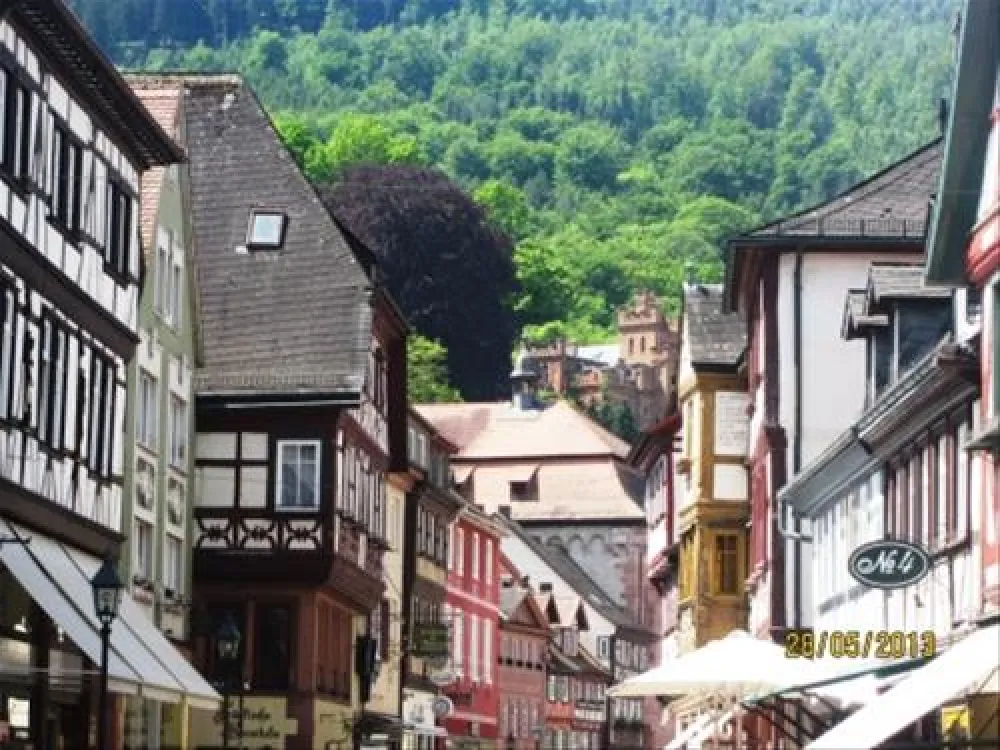 Campingplatz Mainwiese