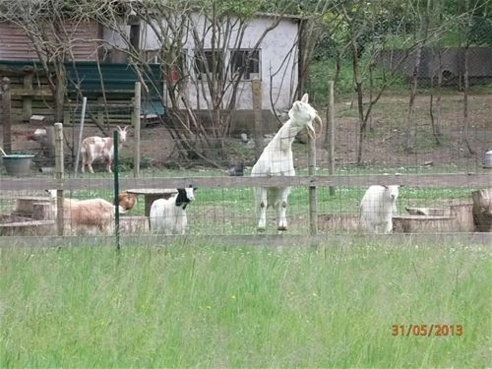 Camping Couleurs du Monde