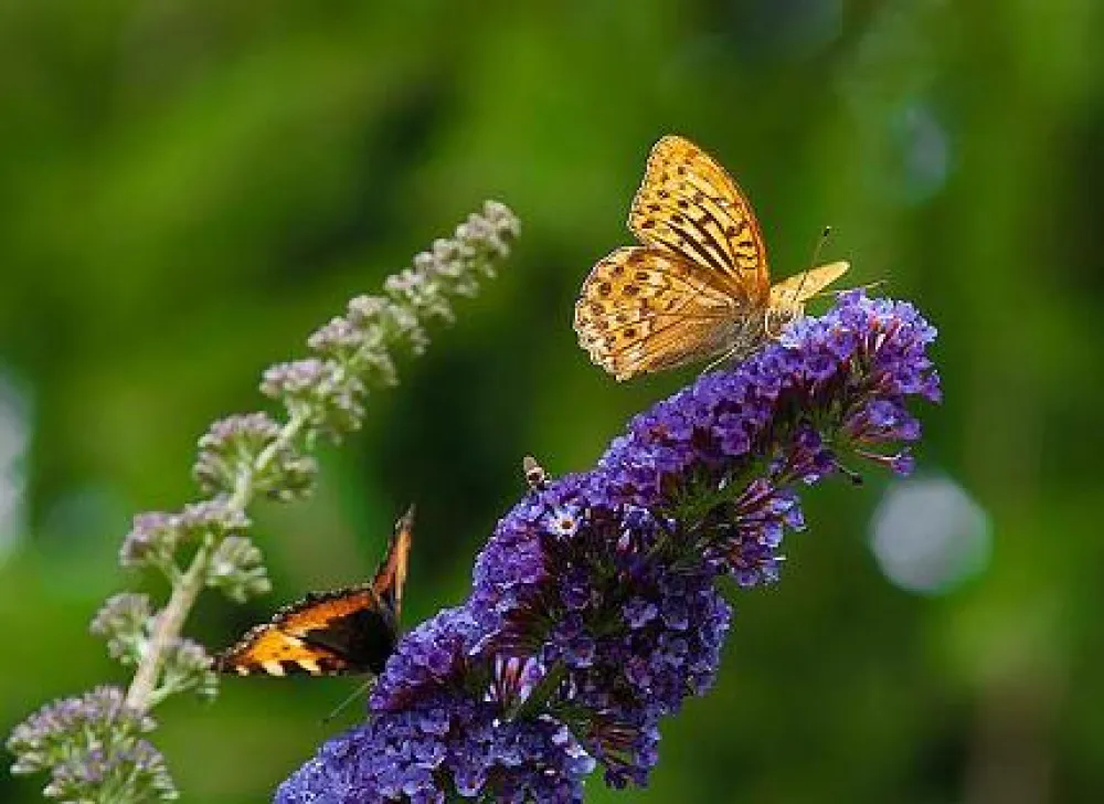 Camping La Chassagne  