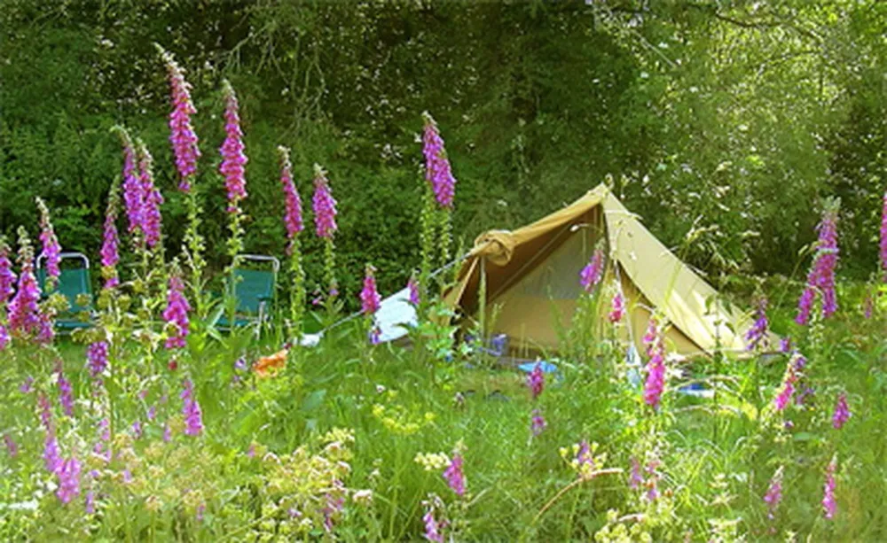 Camping La Chassagne  