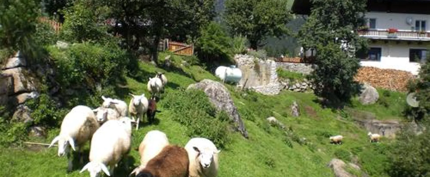 Panoramastellplatz Friedburg