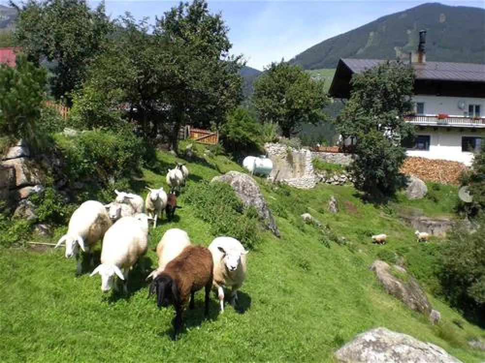 Panoramastellplatz Friedburg