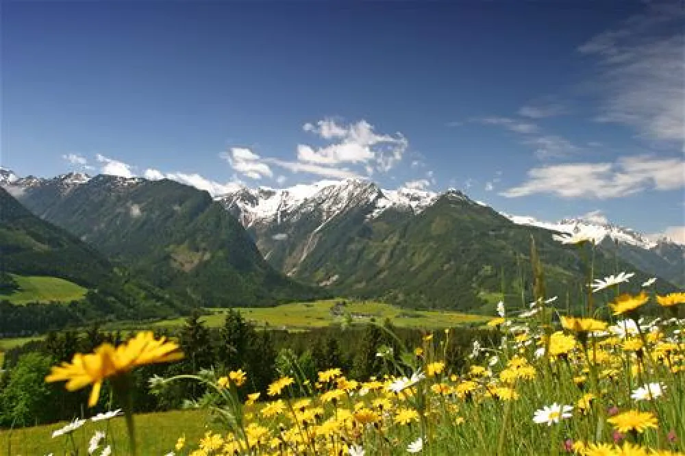 Panoramastellplatz Friedburg