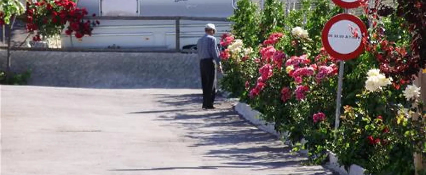 Camping Alto de Viñuelas