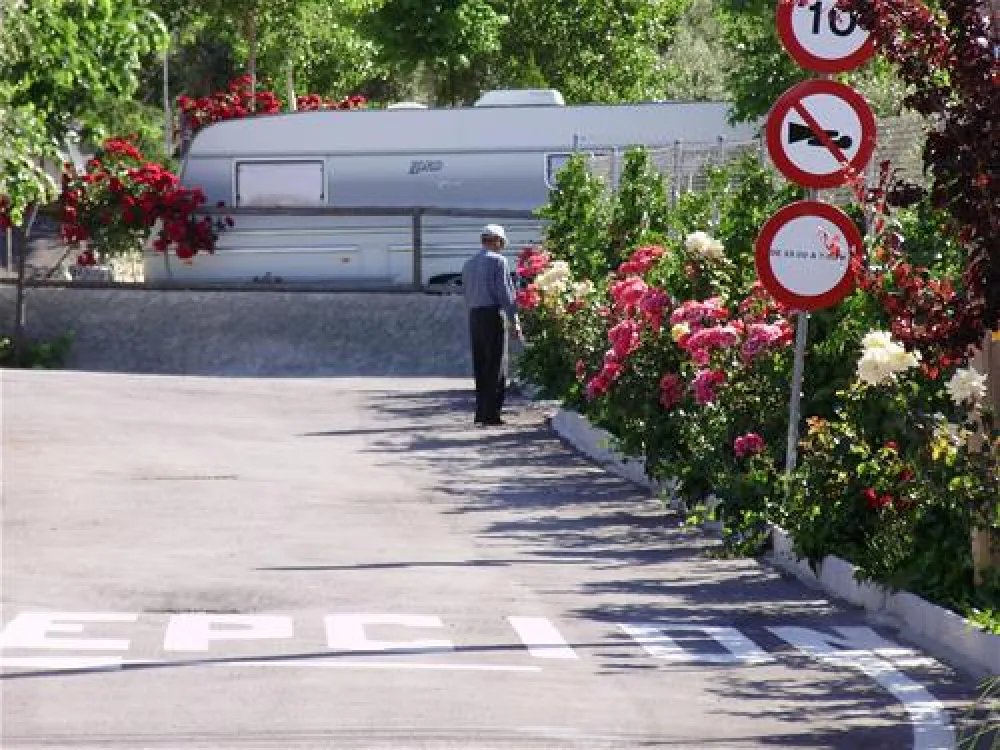 Camping Alto de Viñuelas