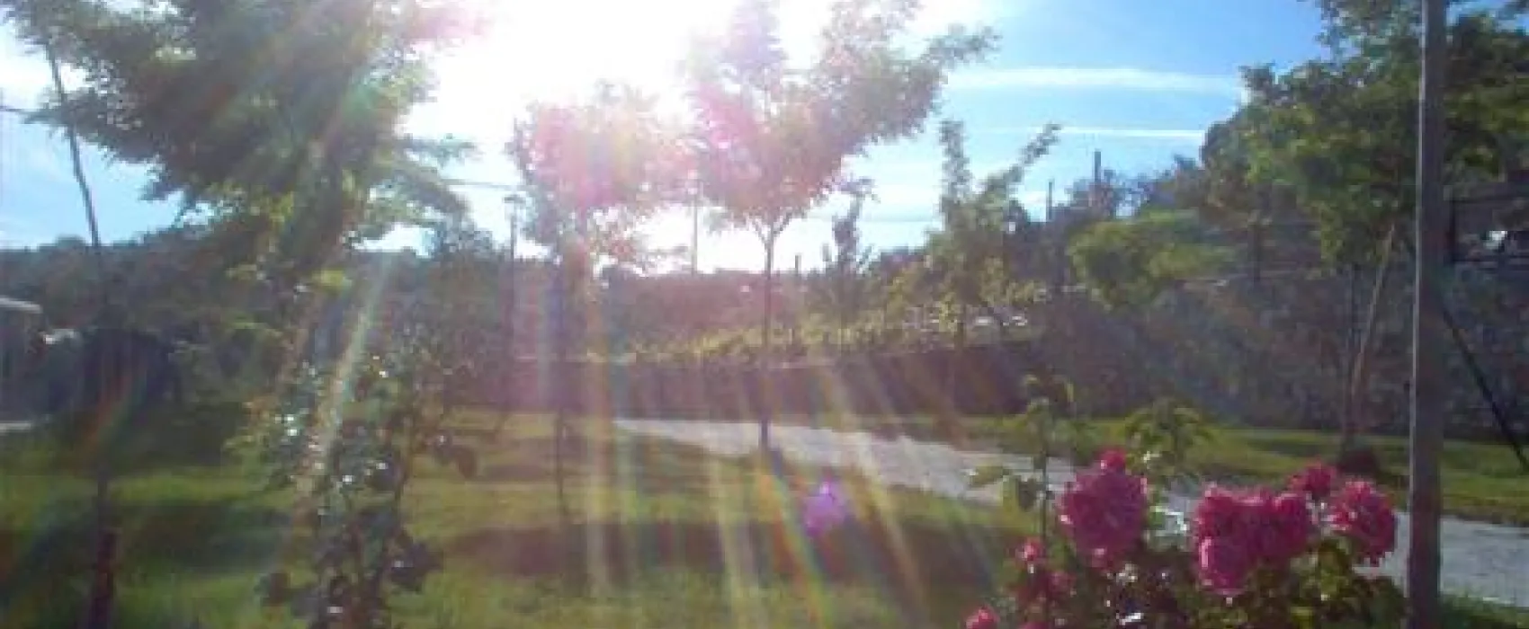 Camping Alto de Viñuelas