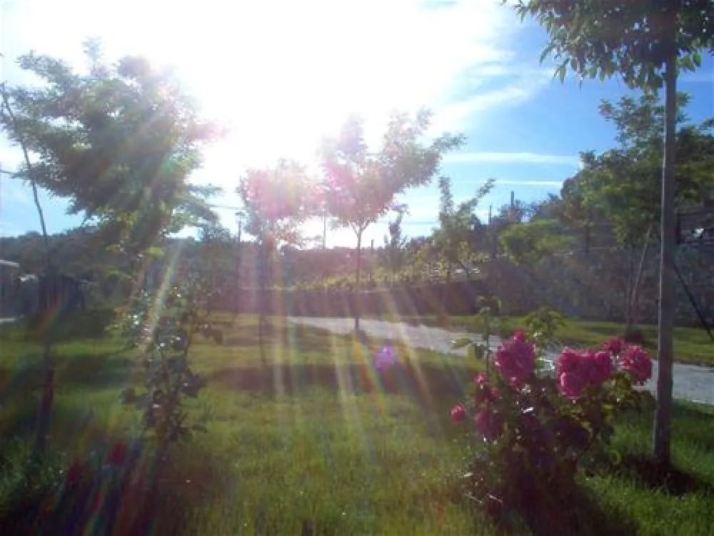 Camping Alto de Viñuelas