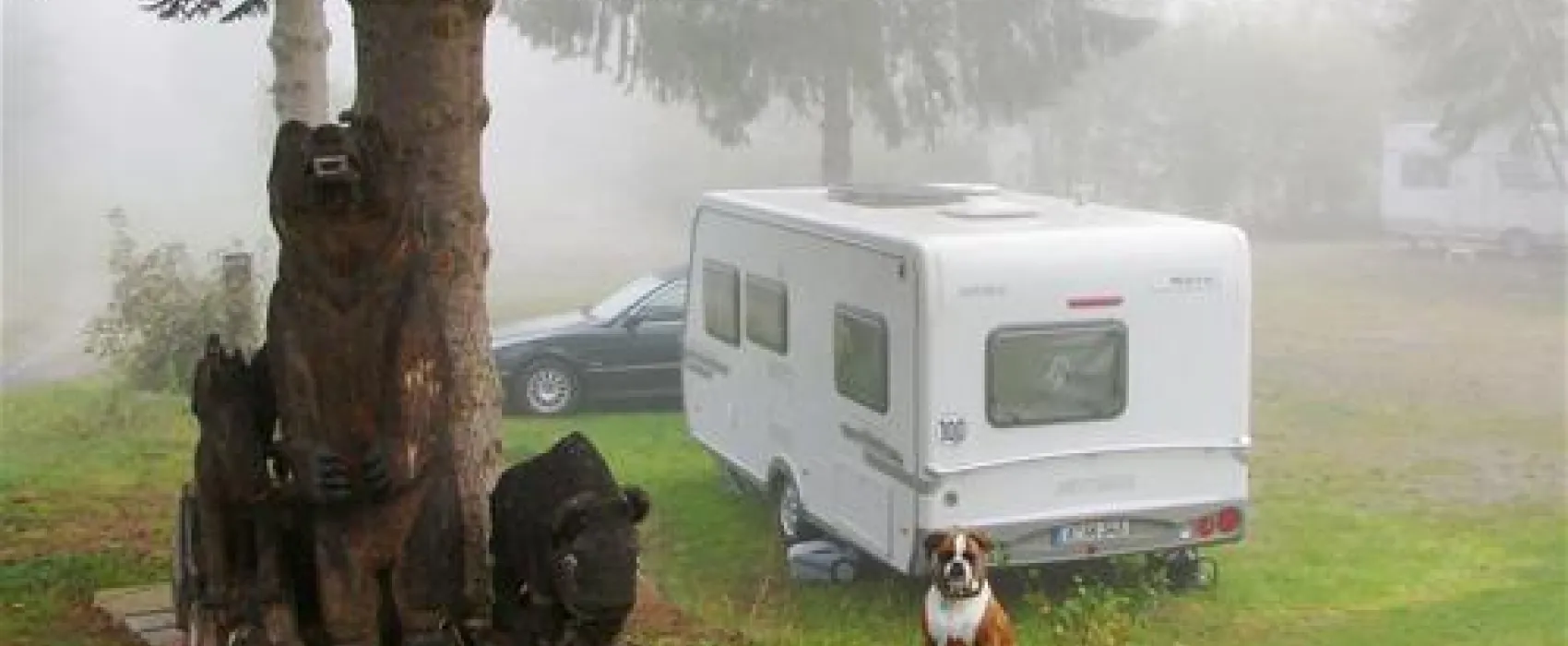 Waldcamp Meerbornsheide