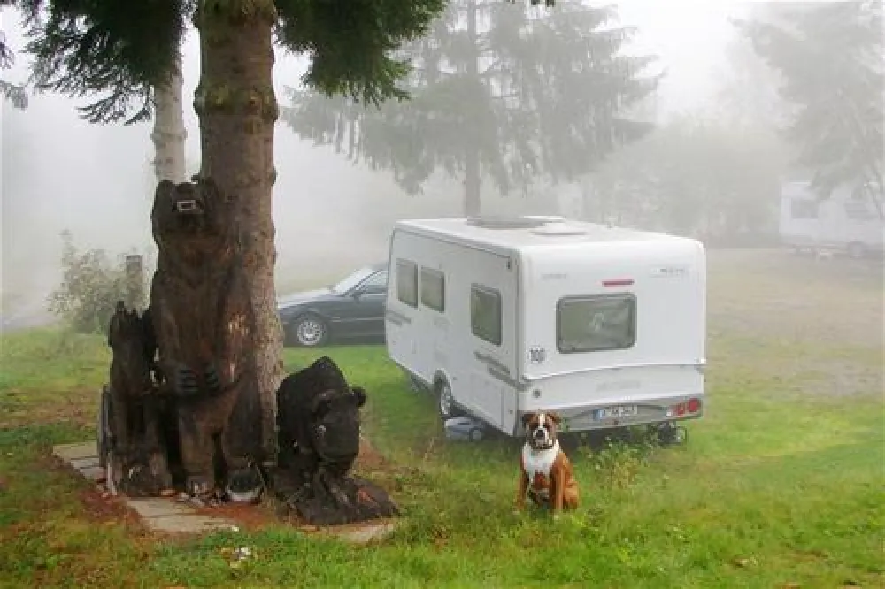 Waldcamp Meerbornsheide