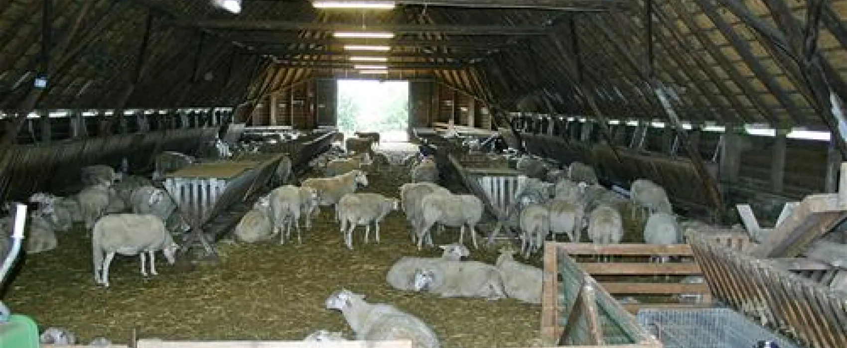 Camping De Haeghehorst