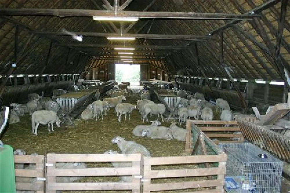 Camping De Haeghehorst