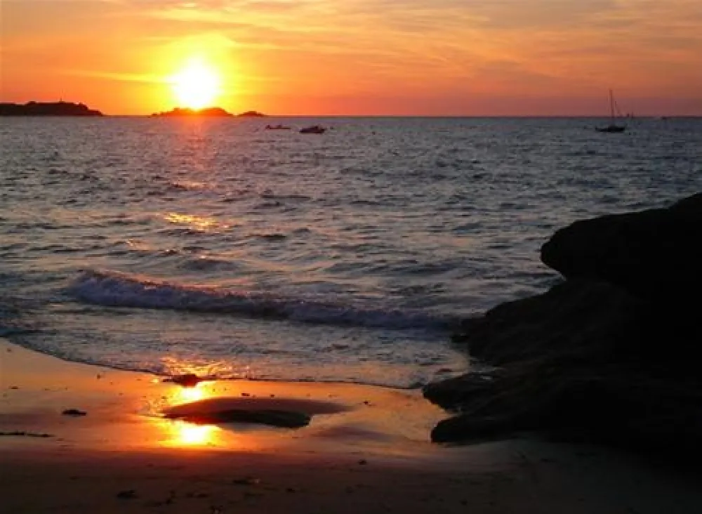 Flower Camping Longchamp  