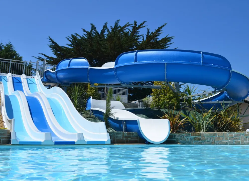 Flower Camping Longchamp  