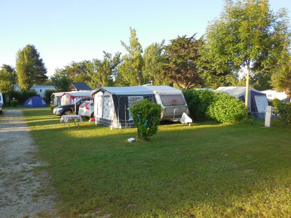 Flower Camping Longchamp  