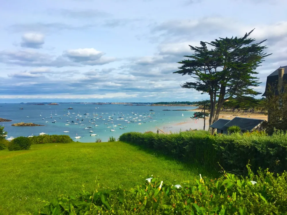 Flower Camping Longchamp  