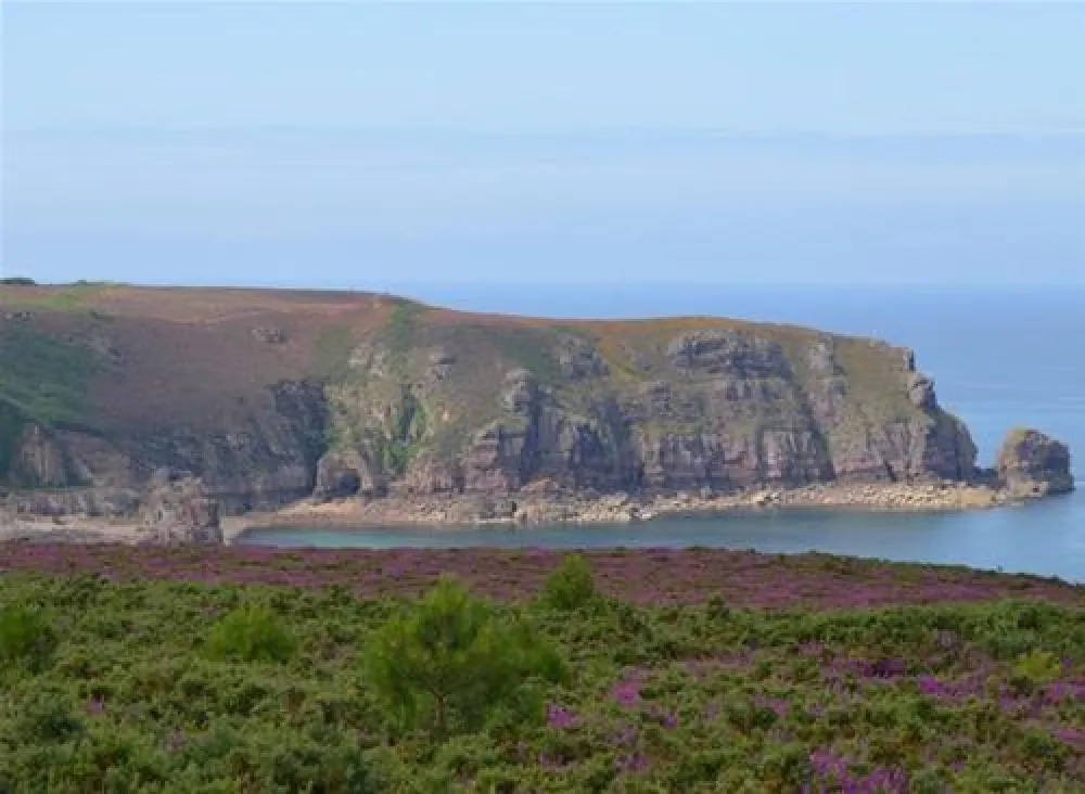 Flower Camping Longchamp  