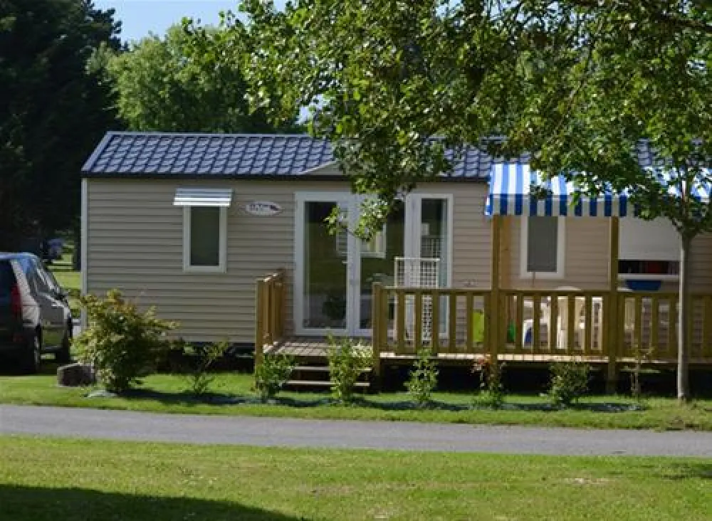 Flower Camping Longchamp  