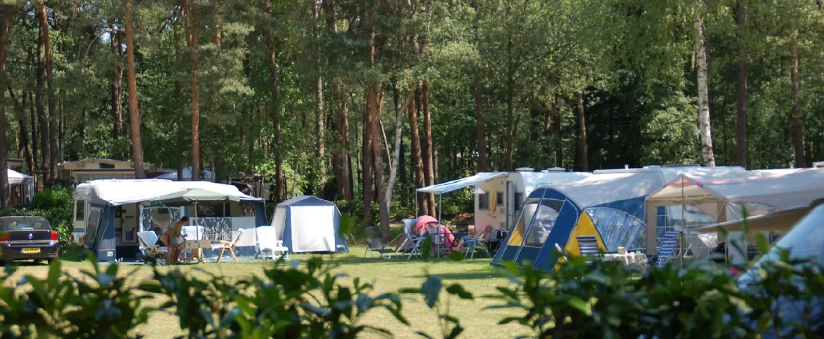 Kampeer & Chaletpark Rustoord/de Paddock