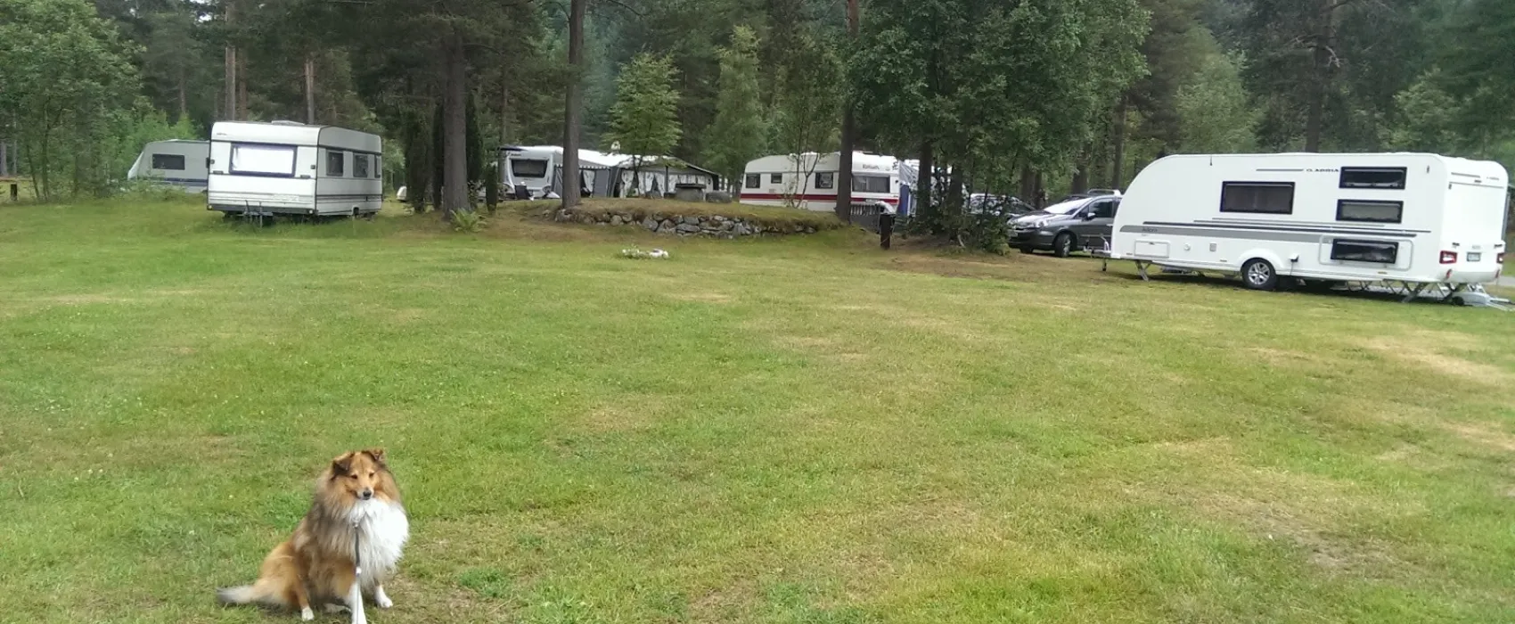 Gjøra Camping