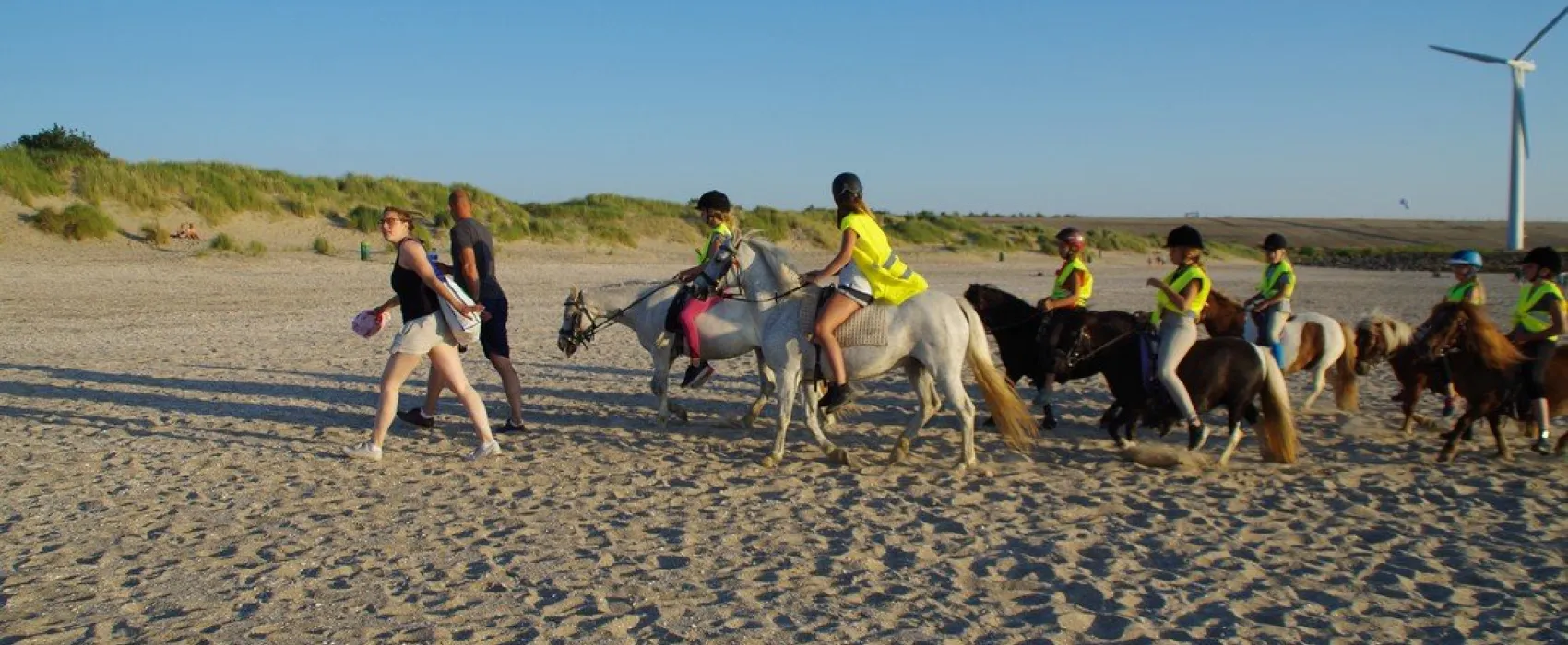 Camping Van der Burgh