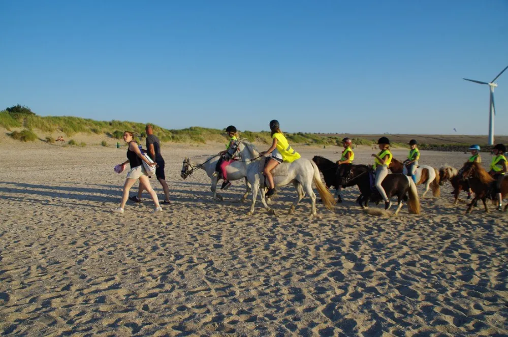 Camping Van der Burgh