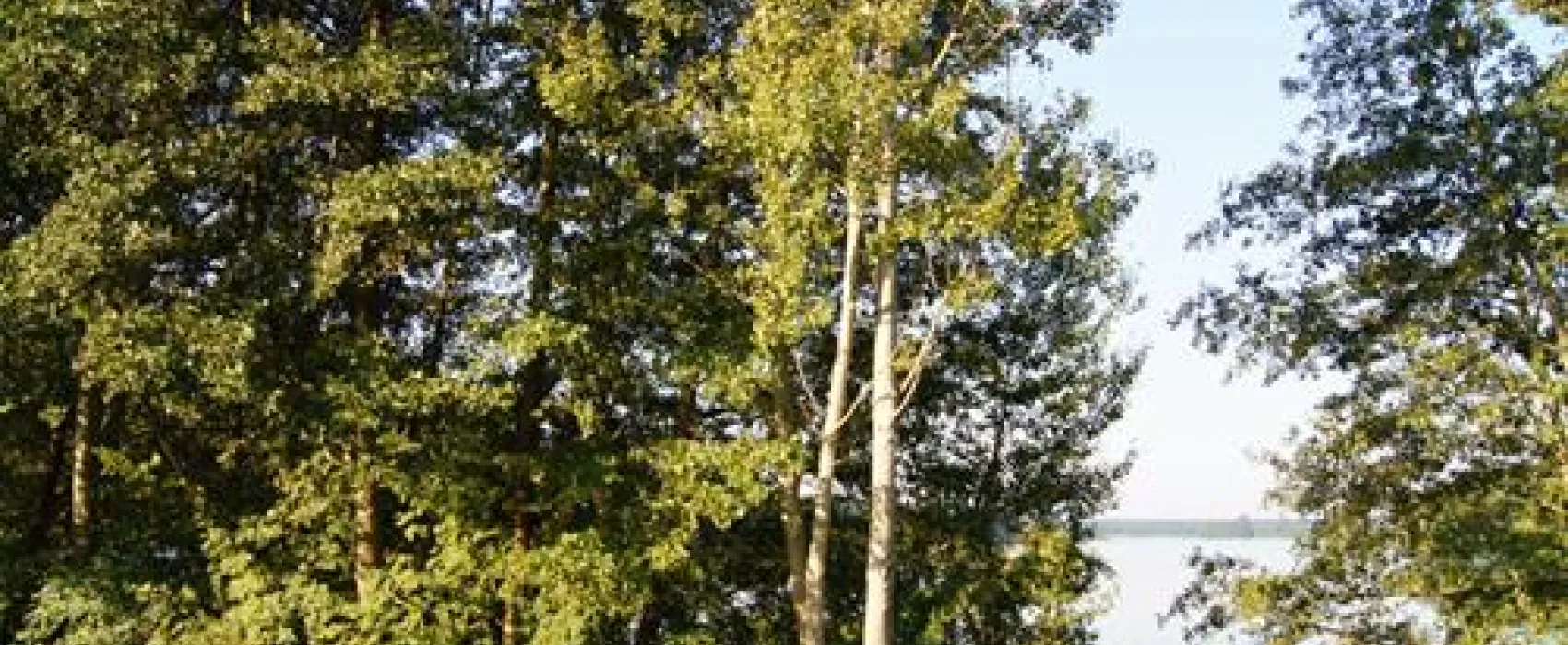 Campingplatz am Wangnitzsee