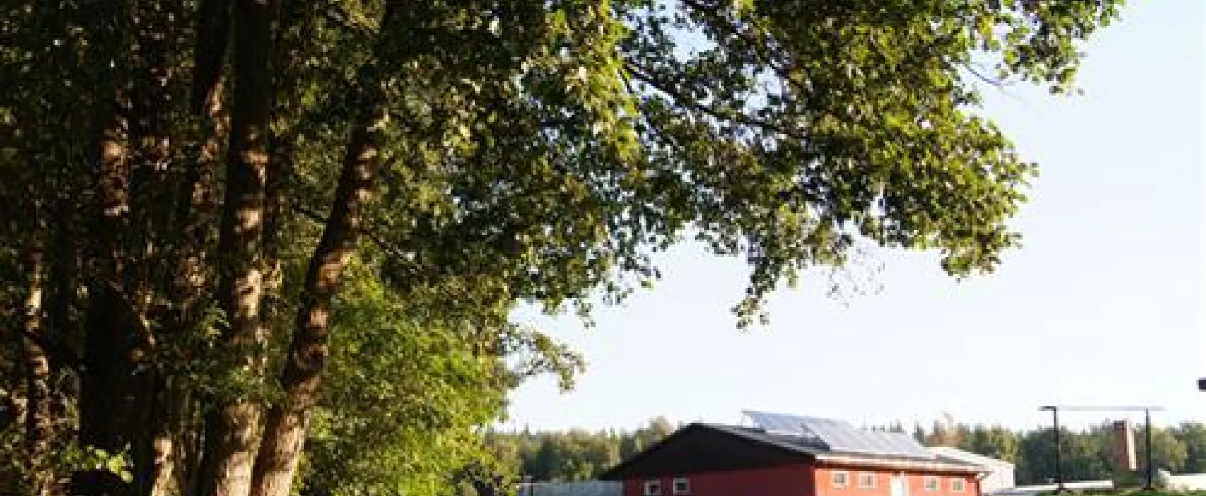 Campingplatz am Wangnitzsee