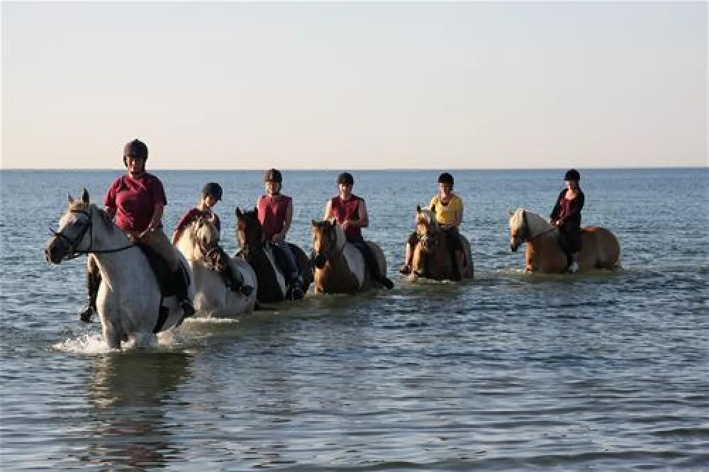 Strandcamping Wallnau