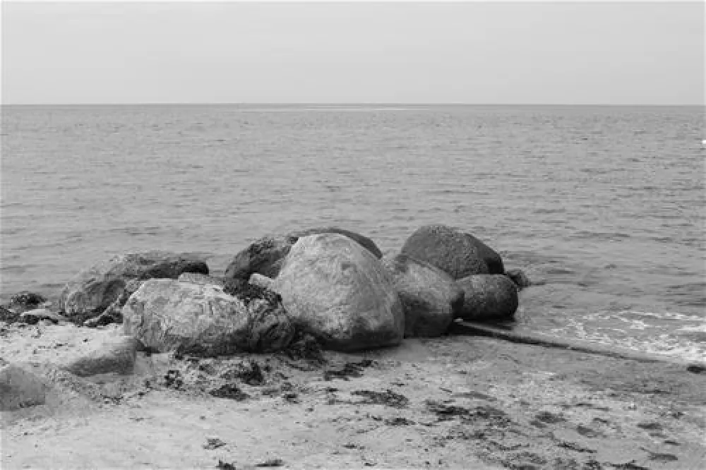 Campingplatz Puttgarden-Vogelfluglinie