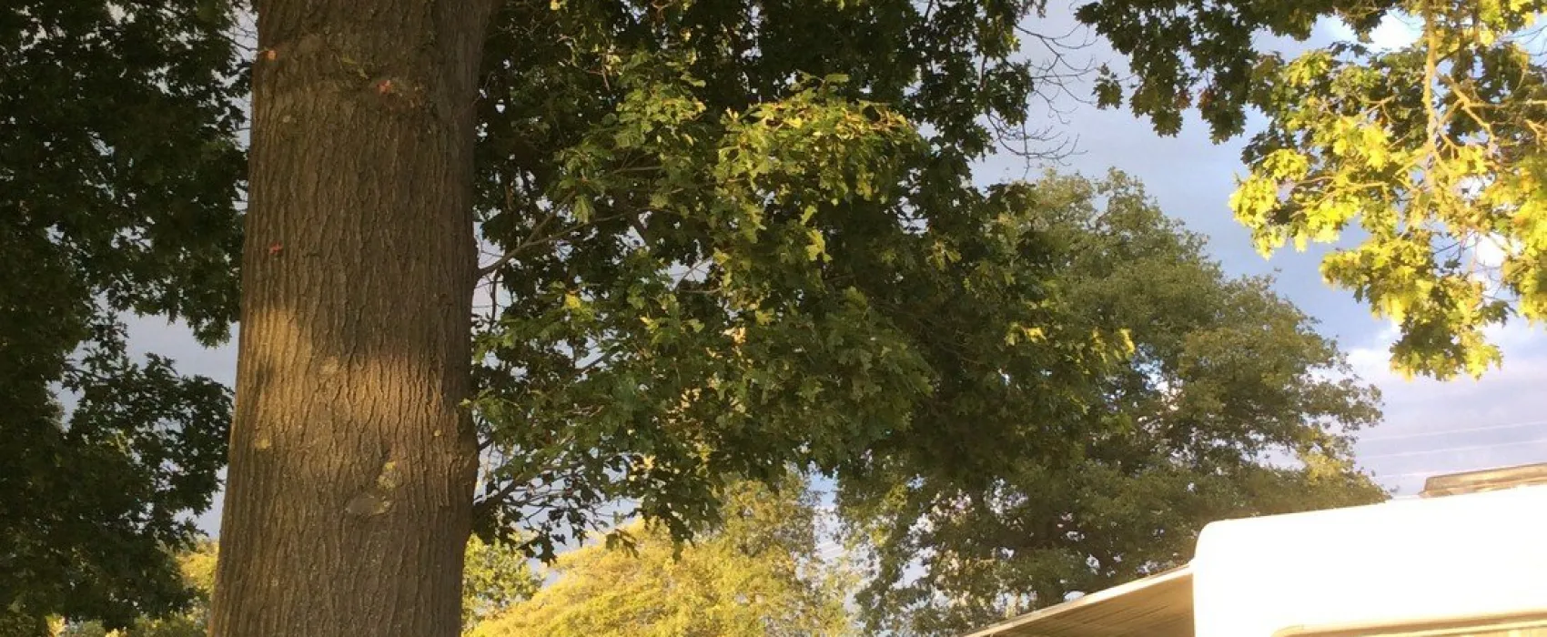 Minicamping Aan 't Ven