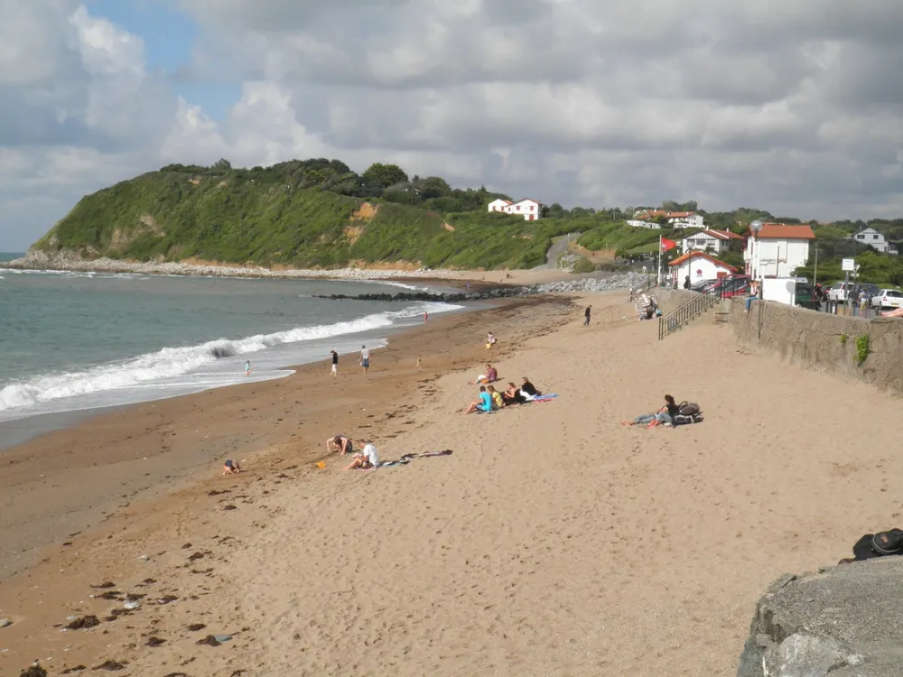 Flower camping - Ferme Erromardie