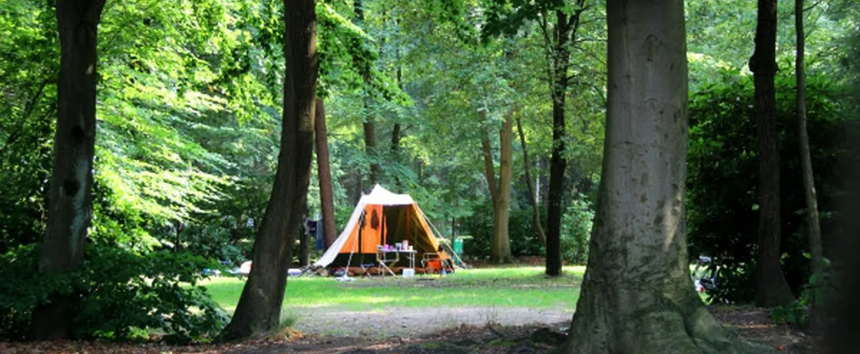 Molecaten Park Bosbad Hoeven