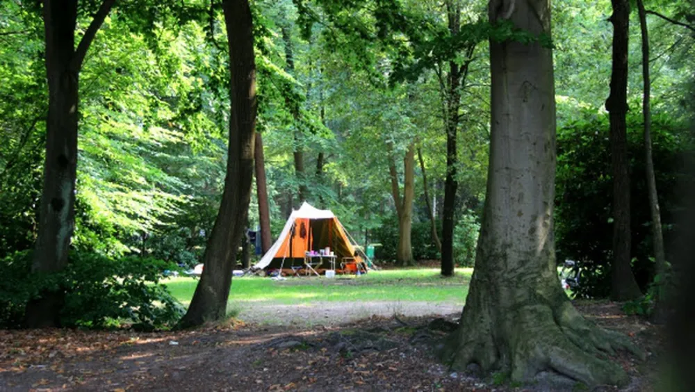 Molecaten Park Bosbad Hoeven