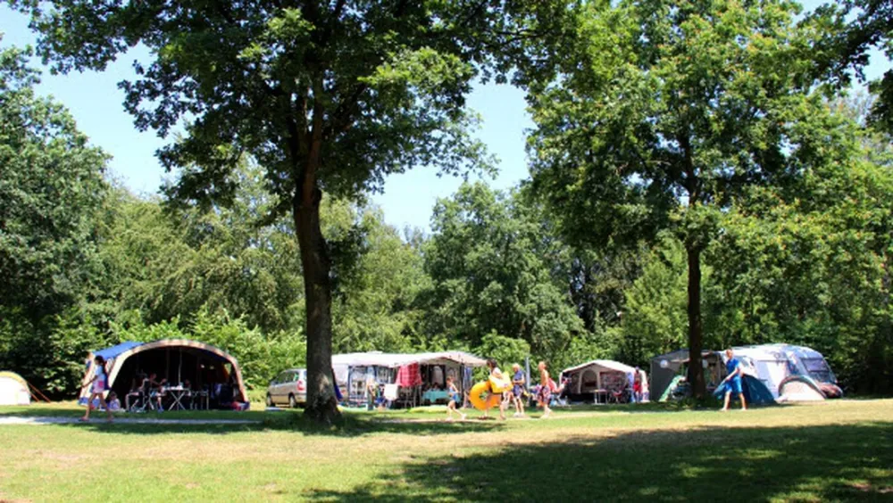 Molecaten Park Bosbad Hoeven