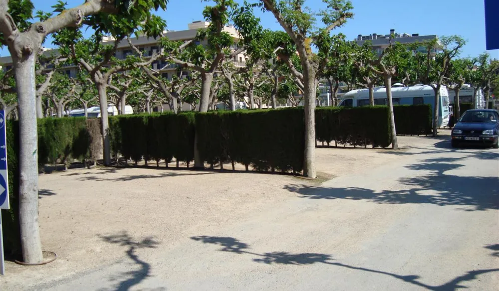 Camping Playa Cambrils-don Camilo