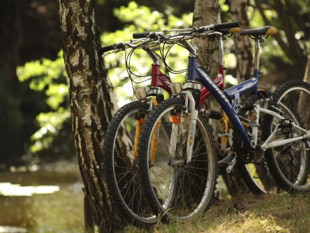 Camp9 nature campground Poland