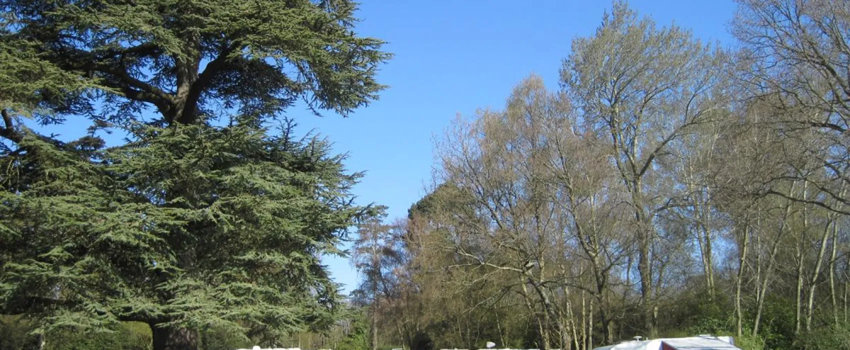 Lordine Court Caravan and Camping Park