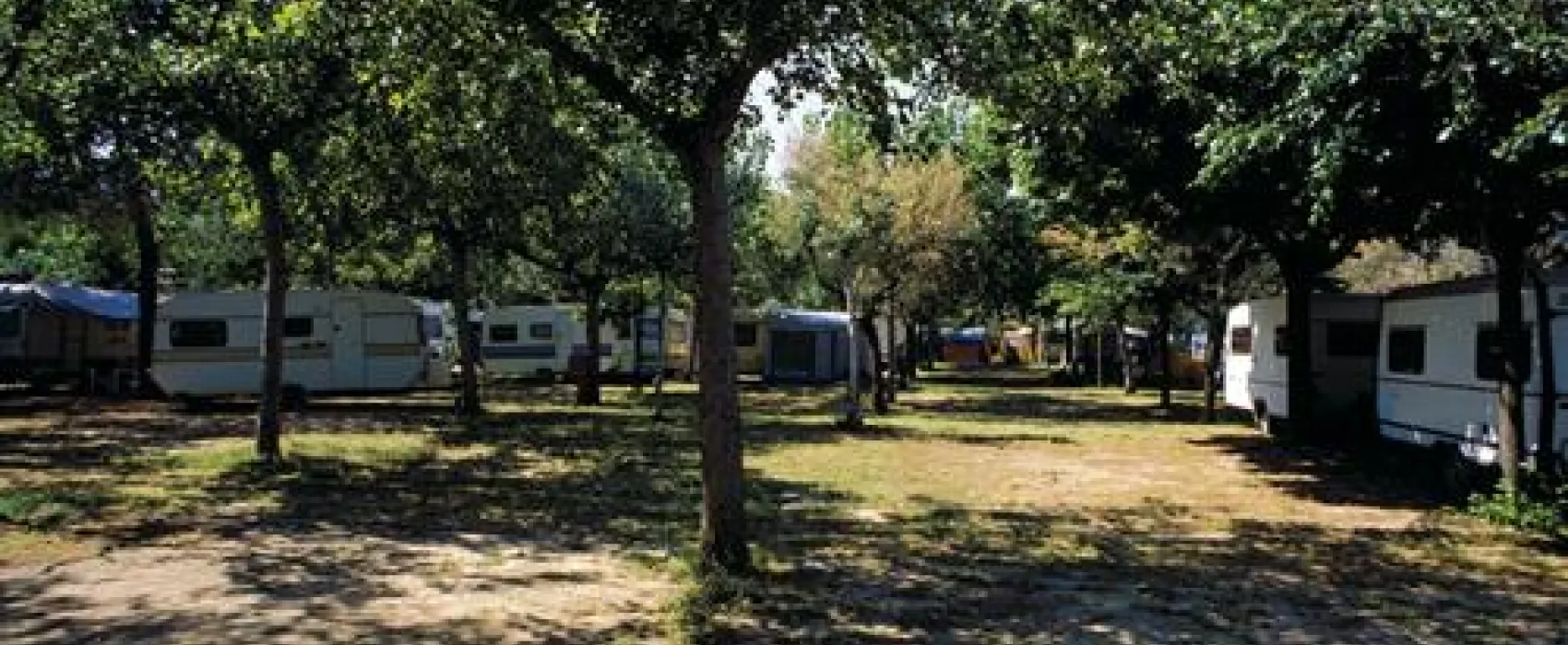 International  Camping Torre Cerrano