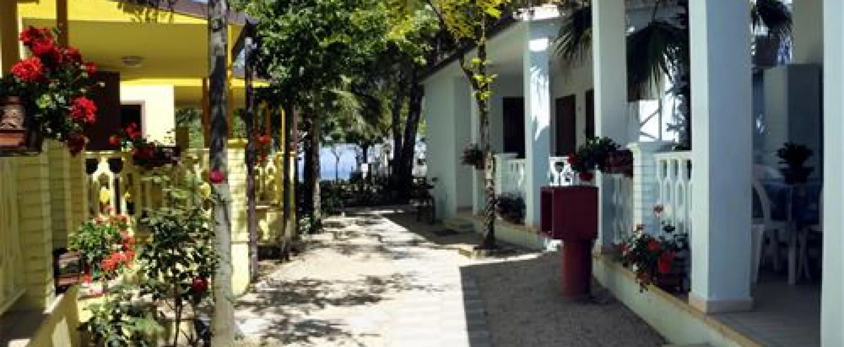 International  Camping Torre Cerrano