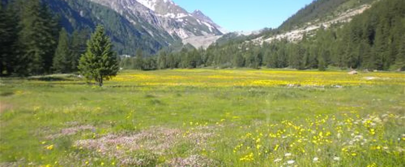 Camping Monte Bianco La Sorgente
