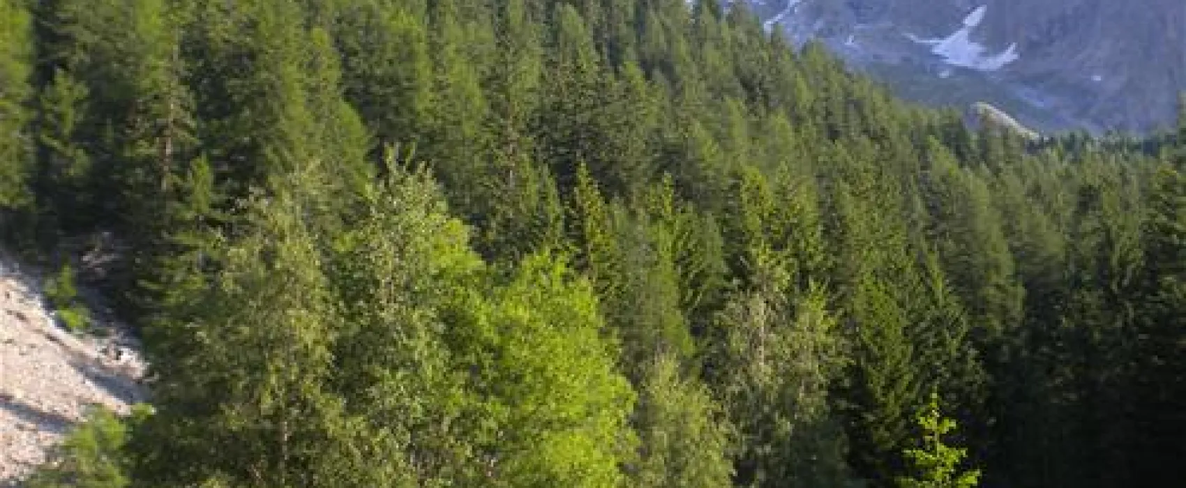 Camping Monte Bianco La Sorgente