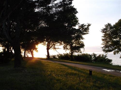 Camping Veli Joze photo 3