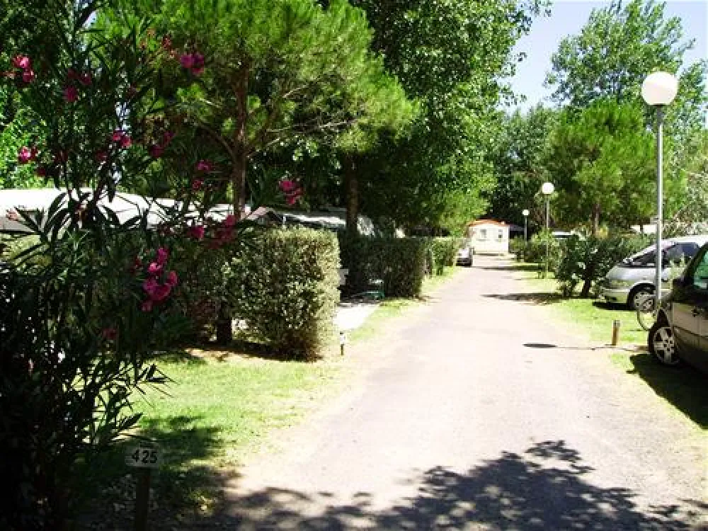 Yelloh! Village Aloha