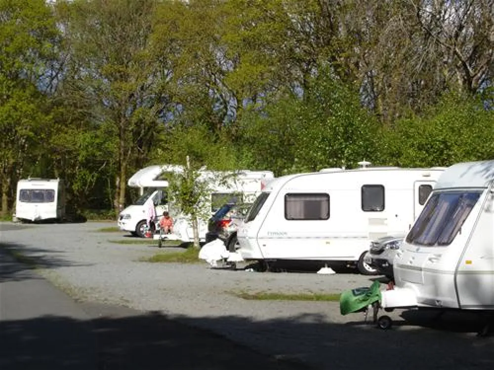 Coed-y-Llwyn Caravan Club Site